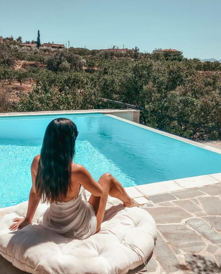 Villa Xenia Aegina エクステリア 写真