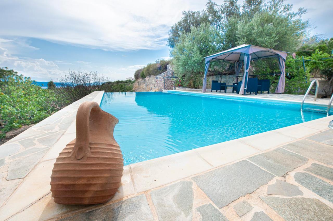 Villa Xenia Aegina エクステリア 写真