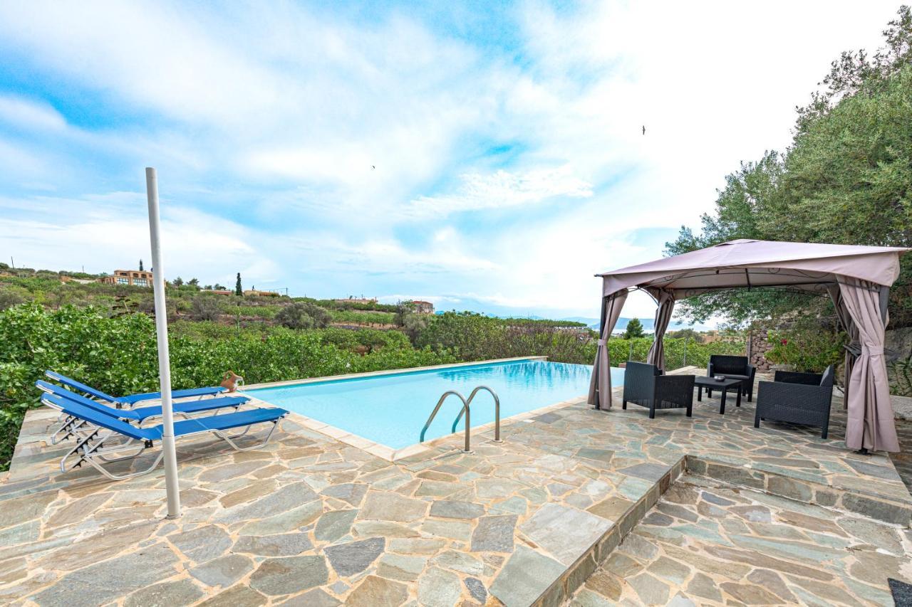 Villa Xenia Aegina エクステリア 写真